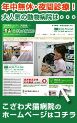提携病院の夜間診療・年中無休のこざわ犬猫病院はコチラから