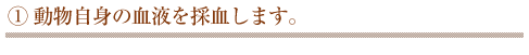 動物自身の血液を採血します。