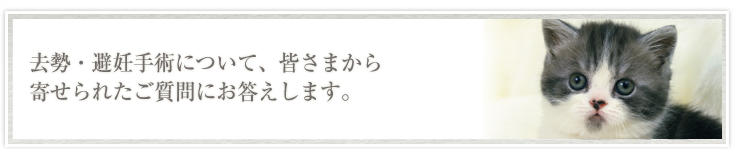 犬・猫の病気について