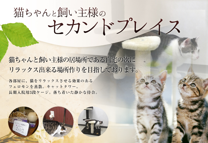 猫ちゃんと飼い主様のセカンドプレイス