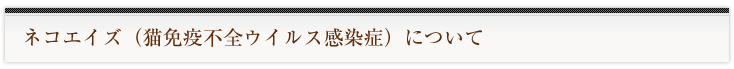 ネコエイズ（ネコ免疫不全ウイルス）について