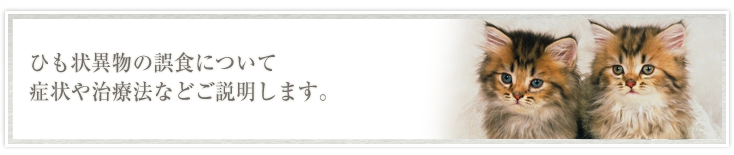 ひも状異物の誤食について原因と治療法などご説明します。