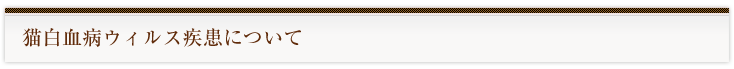 猫白血病ウィルス疾患について