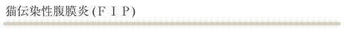 猫伝染性腹膜炎(ＦＩＰ)