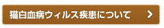 猫白血病ウィルス疾患について