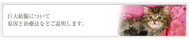 巨大結腸について原因と治療法などご説明します。