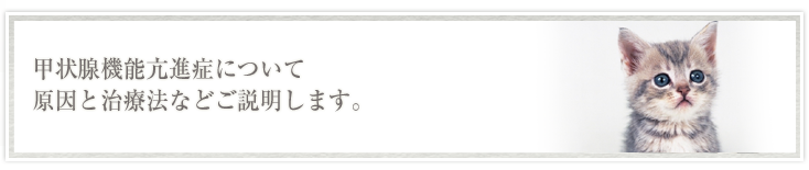 甲状腺機能亢進症について原因と治療法などご説明します。