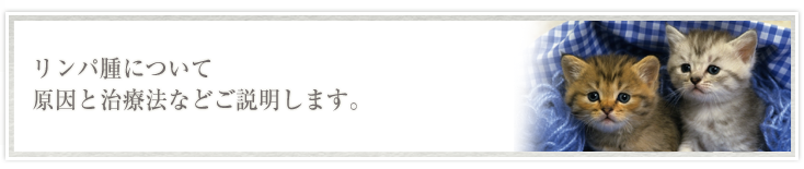 リンパ腫について原因と治療法などご説明します。