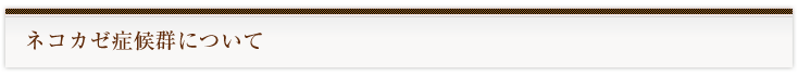ネコカゼ症候群について