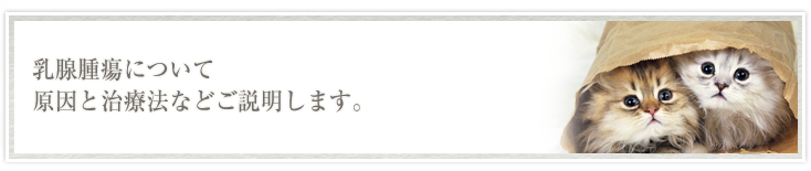 乳腺腫瘍について原因と治療法などご説明します。