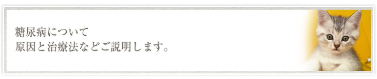 糖尿病について原因と治療法などご説明します。