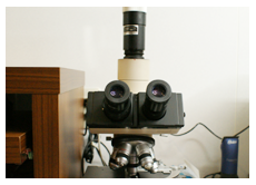 顕微鏡カメラ