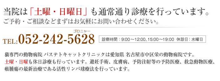 バステトキャットクリニックは愛知県 海部郡 大治町にある動物病院です。
土曜・日曜も休日診療も行っています。避妊手術、外科手術、各種検査、入院治療、皮膚病、　フィラリア予防、予防注射、ペットホテルなど行っています。TEL:0120-060-712