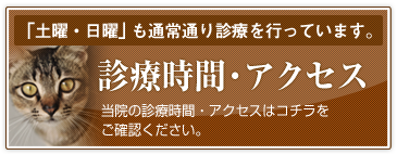 診療時間・アクセス