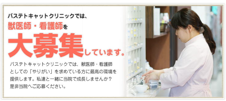 新聞、雑誌、テレビで取り上げていただいた実績の一部をご紹介します。