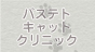 患者さま紹介イメージ