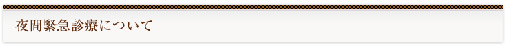 夜間緊急診療について