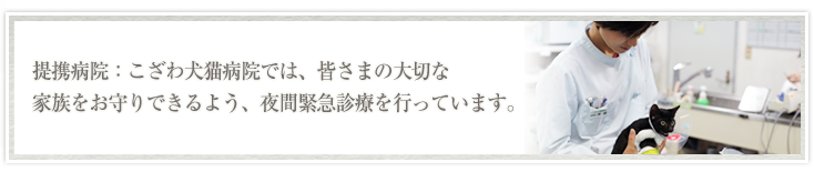 こざわ犬猫病院では夜間診療を行っています。