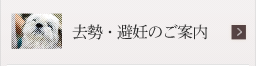 去勢・避妊のご案内