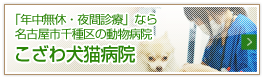 こざわ犬猫病院