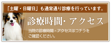 診療時間・アクセス