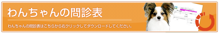 わんちゃんの問診表