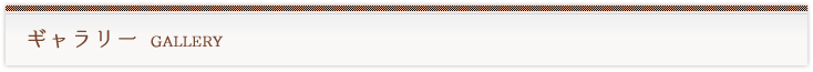 ギャラリー