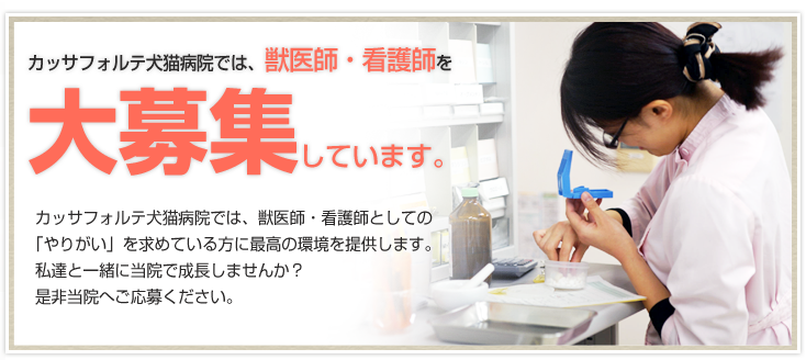 新聞、雑誌、テレビで取り上げていただいた実績の一部をご紹介します。