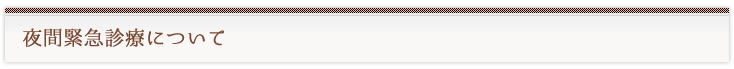 夜間緊急診療について