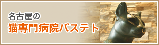 名古屋の猫専門病院バステト