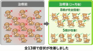 気管虚脱アナボリックステロイドによる治療効果