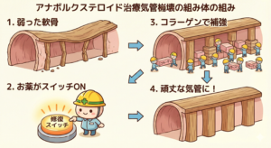 アナボリックステロイドが気管虚脱に効くしくみ