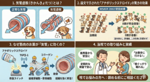 気管虚脱の内科治療