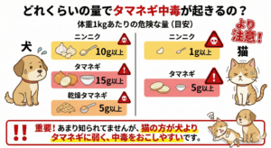 たまねぎ　ニンニク中毒量