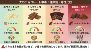 ​犬のチョコレート誤食におけるカカオ含有量別の毒性比較インフォグラフィック。ホワイト、ミルク、ダーク、製菓用チョコに含まれるテオブロミン（危険物質）の量を視覚化し、ホワイトチョコが低リスクで、カカオマスの多いダークチョコが危険である理由を解説した、こざわ犬猫病院の医療資料。