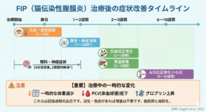 FIP猫の伝染性腹膜炎 治療タイムライン