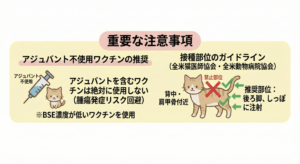 猫のワクチン：重要な推奨事項