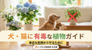 犬と猫に有毒な植物ガイドのアイキャッチ画像。リビングに置かれたユリやアジサイ、観葉植物の危険性を警告し、「身近な危険から守るために」というメッセージを添えたデザイン。名古屋のこざわ犬猫病院が、中毒から愛犬・愛猫を守るための正しい知識を専門的に解説。