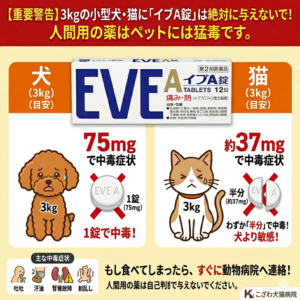 こざわ犬猫病院による、3kgの小型犬と猫における人間用の薬(イブA錠、イブプロフェン)誤食による中毒の危険性を伝えるインフォグラフィック画像。上部に「【重要警告】3kgの小型犬・猫に『イブA錠』は絶対に与えないで!人間用の薬はペットには猛毒です。」のテキスト。左側に3kgのトイプードルのイラストと「犬(3kg)(目安):75mgで中毒症状、1錠(75mg)で中毒!」の警告、右側に3kgの猫のイラストと「猫(3kg)(目安):約37mgで中毒症状、わずか半分(約37mg)で中毒!犬より敏感!」の警告。下部には、主な中毒症状(吐吐、汗油、腎臓故障、刻乱し)のアイコンと症状名、「もし食べてしまったら、すぐに動物病院へ連絡!人間用の薬は自己判断で与えないでください。」という緊急の行動喚起が記載されている。右下に「こざわ犬猫病院」のロゴ。名古屋、三重、岐阜からの緊急外来に対応。