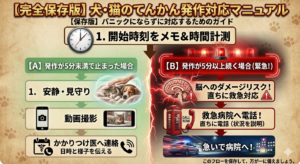 犬・猫のてんかん発作対応マニュアルのフローチャート。発作開始時刻の記録、5分未満で止まった場合の対応（安静・動画撮影）、5分以上続く緊急時の対応（脳へのダメージリスクと救急病院への連絡）を解説した図。