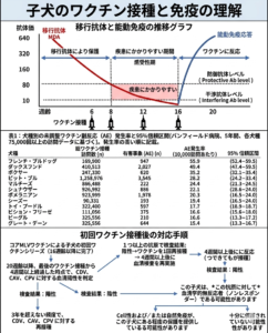 子犬のワクチン接種と免疫に関する図解:移行抗体の推移グラフ、犬種別のワクチン副反応発生率、初回コアワクチン接種後の抗体検査フローチャート
