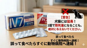 犬や猫にとって危険な人用の鎮痛剤（イブプロフェン）の誤飲防止啓発イラスト。1錠でも胃潰瘍や腎不全の原因になる警告図解