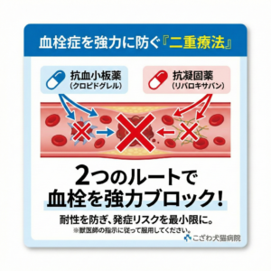 猫の肥大型心筋症による血栓予防薬