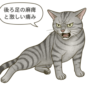 猫の血栓塞栓症の症状　後ろ足の麻痺と激しい痛み