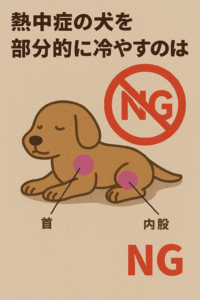 犬の熱中症 熱中症の犬を氷などで 部分的に冷やすのは逆効果です。血管が収縮して血液の循環が滞ります