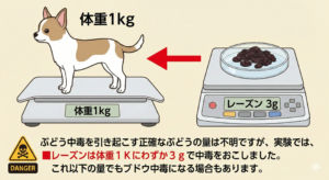 犬のぶどう中毒
