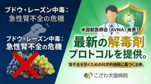 「当院では、ブドウ中毒に対して従来のような対症療法だけでなく、米国獣医師会（AVMA）で発表された最新のエビデンスに基づき、腎不全を未然に防ぐための特別な解毒プロトコルを実施しています。」