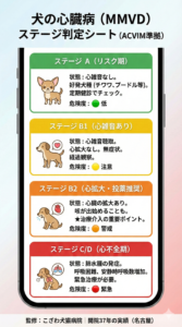 犬の僧帽弁閉鎖不全症（MMVD）ACVIMステージ判定シート｜こざわ犬猫病院