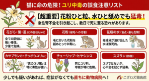 猫に命の危険！ユリ中毒の誤食注意リスト