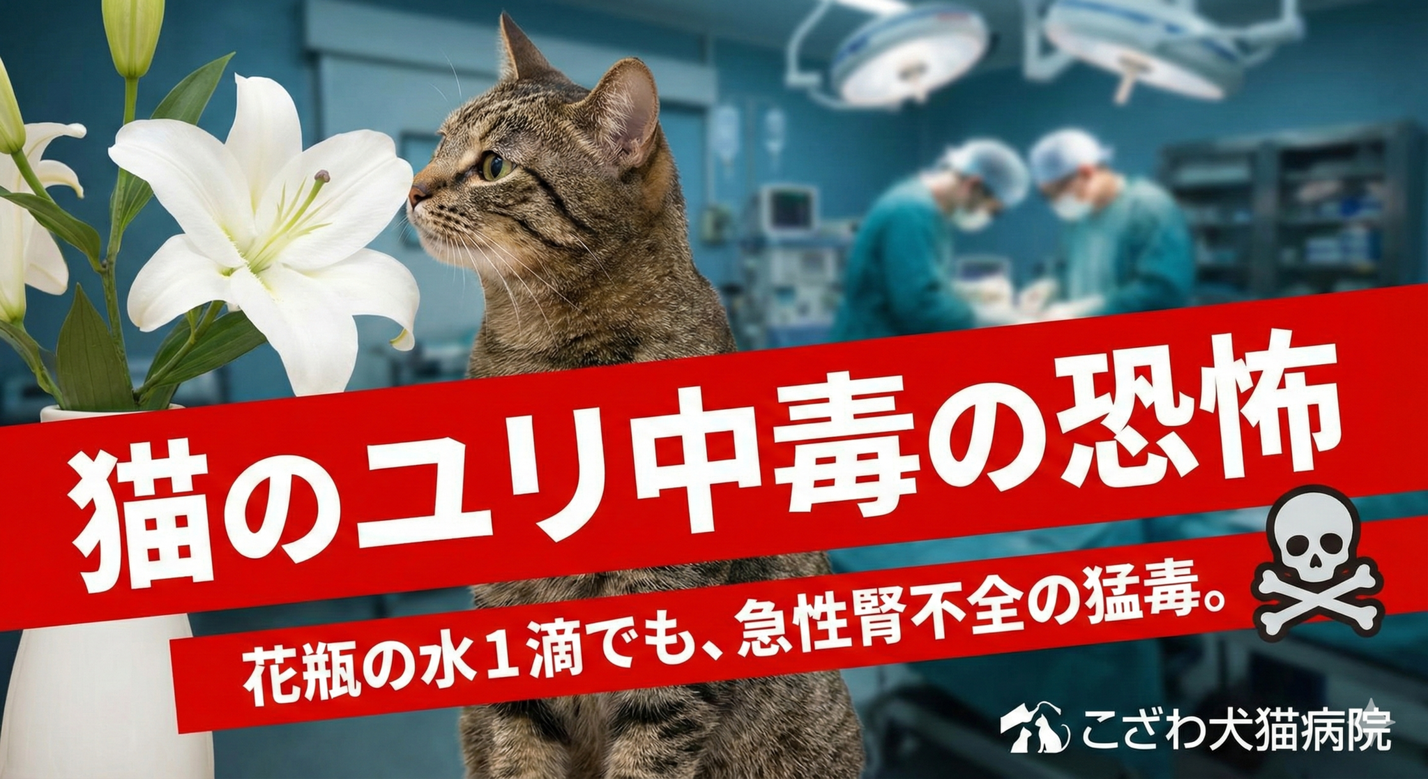 猫のユリ中毒の恐怖を伝えるアイキャッチ画像。白いユリと猫の背後に救急医療の現場を描き、「花瓶の水1滴でも急性腎不全を招く猛毒」という警告を強調。猫専門病院（バステト）を併設する名古屋のこざわ犬猫病院による、猫の命を守るための救急ガイド。